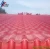 Import Chinese Spanish Type PVC Plastic Synthetic Resin Residential Roof Building Material / Roof Tile from China