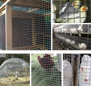 cold galvanized chicken wire mesh hexagonal wire netting (factory)