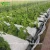 Import Commercial Agricultural Glass Greenhouse Price In China for cucumber growing from China