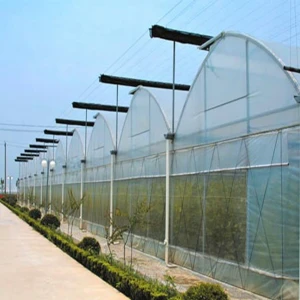 Commercial Mutli-Span Plastic Film Greenhouse with Irrigation Machines for Planting and Breeding