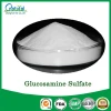 Competitive Price Glucosamine Sulfate