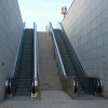 Conai Manufacturer Outdoor Escalator With 600/800/1000mm Steps