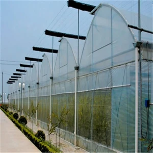 customized  200 micron pe plastic film tomato greenhouse uv treated plastic greenhouse film