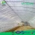 Import Single-Span Agricultural Greenhouses, Greenhouse Parts, Growing Tomato Seeds from China
