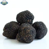 Detan Fresh Wild Black China Truffles