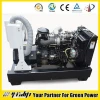 diesel engine powered electricity generator