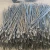 Import Direct sale price galvanized barbed wire from China
