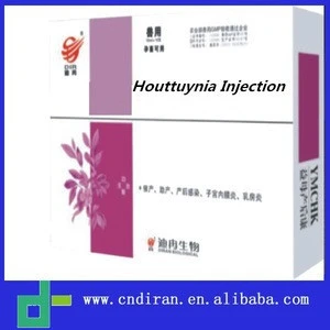 Dog Medicine Houttuynia Cordata Injection Herbal Drug Treatment for Mastitis