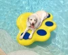 Doggy Safety Inflatable Pool Float Lazy Water Raft for sale