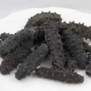 Dried Sea Cucumber