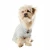 Eco-Friendly Knitted Dog Christmas Jumper scarf Wholesale Custom pet clothes