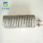 Electric Engine Water Immersion Tubular Heater