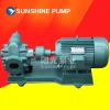 electric oil pump 2CY gear oil pump