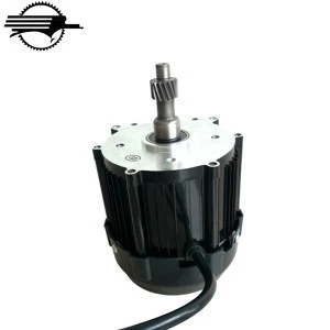 Electric Tricycle 3 Wheel Motorcycle Brushless DC Motor 1200W For Sale