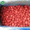 Excellent marketing Grade A frozen strawberry iqf fruits for sale