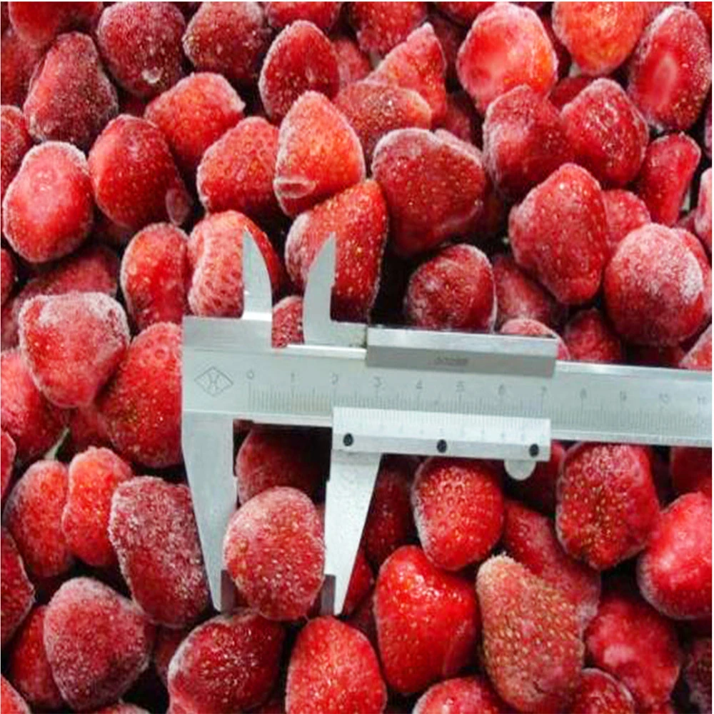 Export Standard Iqf Frozen Strawberry from Hongchang