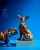 Import Factory creative custom resin craft animal statue resin french bulldog elephant figurine from China