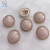 Import Factory Supplies Competitive Price Direct Sale Natural Button for Garment Accessories from China