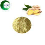 Factory Supply  water soluble ginger extract powder gingerol 5% 10%  ginger extract