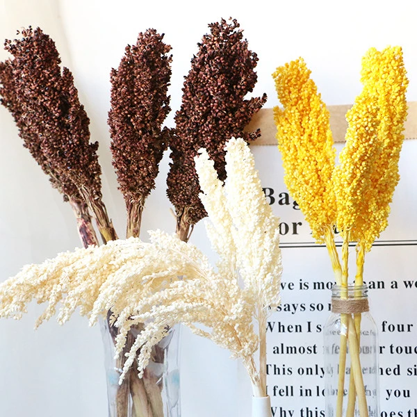 Factory wholesale Beautiful dried flower bouquet dried sweets orghum