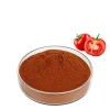 Factory Wholesale Food Grade Water Soluble Organic Tomato Powder Spray Dried Tomato Powder