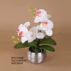 Fake Phalaenopsis Orchid Bonsai, Artificial Orchid Flower