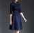 Import Fashionable female official career dress demin dress from China