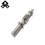 Fast Delivery Stainless Steel Power Transmission Mechanical Parts Worm Gear