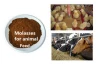 fertilizer &amp; feed additives molasses powder