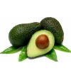 Fesh Hass Avocado Fresh Fruit, The Best Quality for Peru