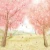 Import Free Shipping Hand Painted Scenic Muslin Background For Wedding from China