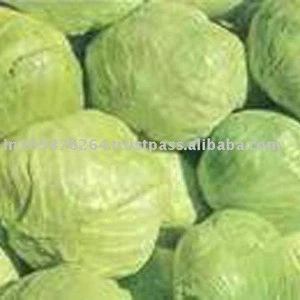 FREEZE DRIED CABBAGE FLAKES