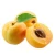 Import Fresh Apricot Sweet Wholesale Fresh Apricot Fruit With Good Price from China