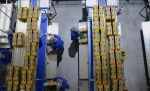 Fresh Avocado Hass from Mexicos Top Producing Region