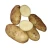 Import Fresh Big Potato Organic White Potato Yellow Potato from Egypt