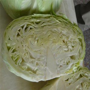 fresh cabbages