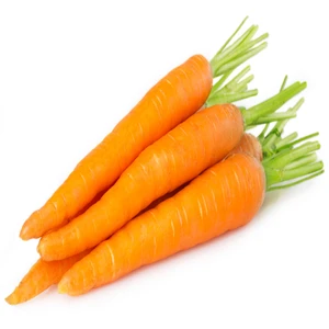 Fresh Carrot with best natural taste