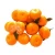 Import Fresh Chinese Nanfeng honey Baby Mandarin Orange with wholesale price from China