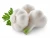 Import fresh garlic seeds bawang putih/ ajo garlic single Spain from China