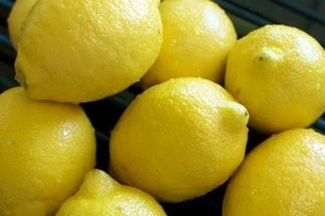 Fresh Lemon, seedless lemon, fresh lime, Adalia, Verna, Citrus fruits, Oranges, Mandarin, Tangerine, Naval