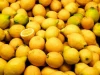 Fresh Lime and Fresh Lemon Best Price/Lime and Lemon /Lemon and Lime for sale at good price