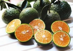 Fresh orange fruit price