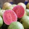 Fresh pink guava