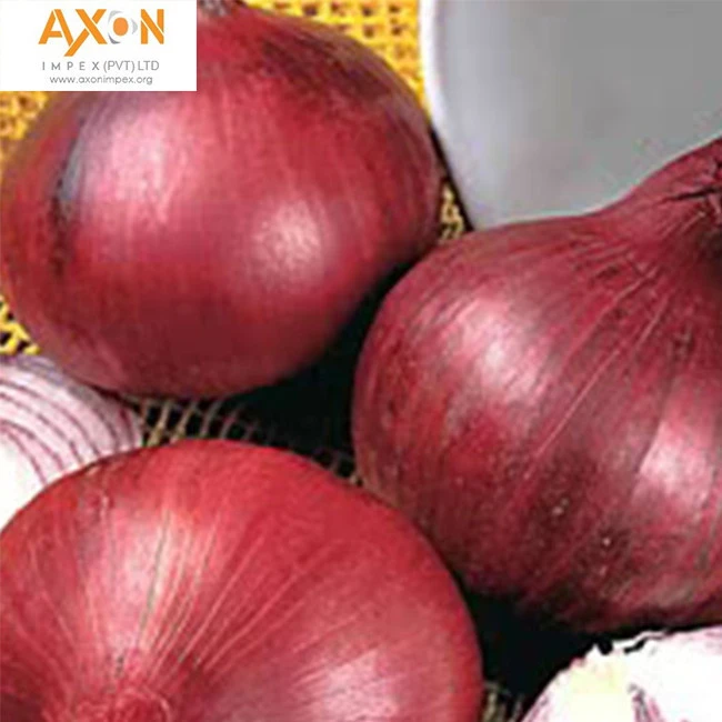 fresh red onion 5-7cm size specification