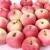 Import fresh royal gala apple(hot sale) from China