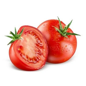 Fresh Tomato at Cheap price from an experienced exporter of Viet Nam
