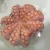 Import Frozen boiled octopus with high quality(Octupus Vulgaris) from China