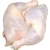 Import frozen chicken leg quarters Premium Grade Halal Frozen Whole Chicken from United States frozen chicken paws from France
