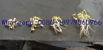 Full automatic Microcomputer control family use Pollution-free organic bean sprouts products 0086-18979060966