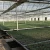 Import galvanized light steel structure frame multi-span tunnel green house made in China from China